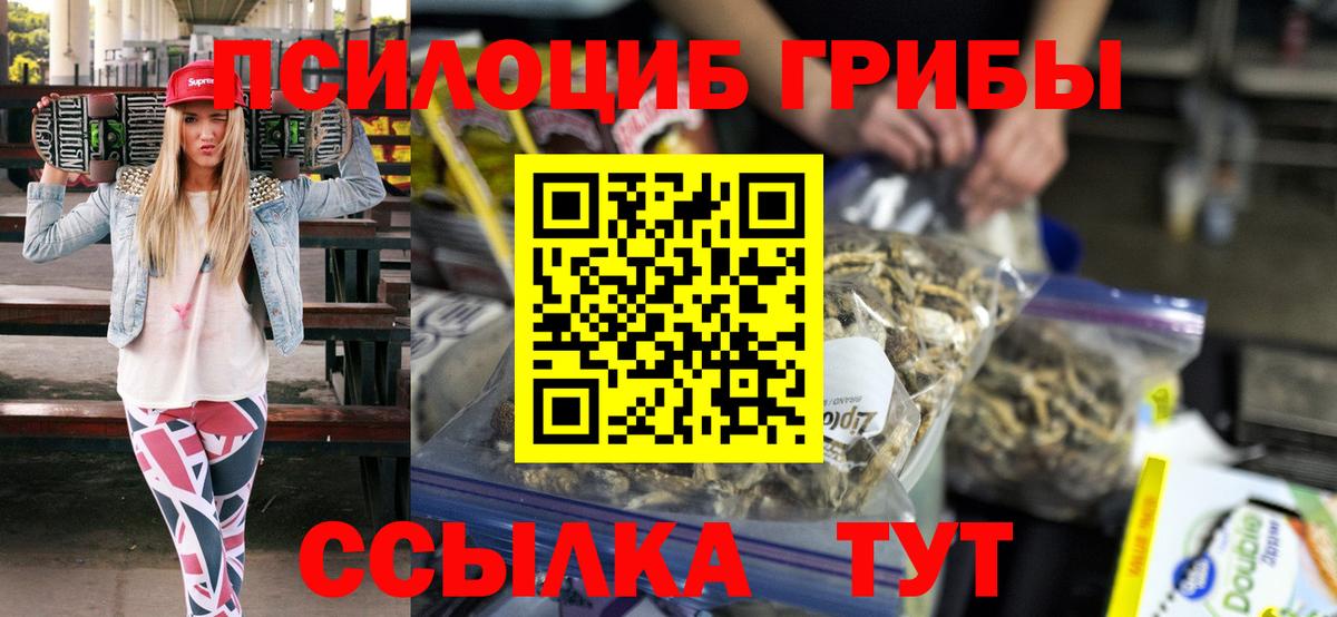 Выкса  Псилоцибиновые грибы Cubensis  Вход с VPN 